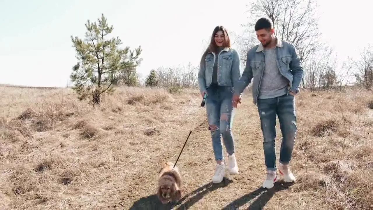A smiling couple holding hands walk a small dog across a sunny field